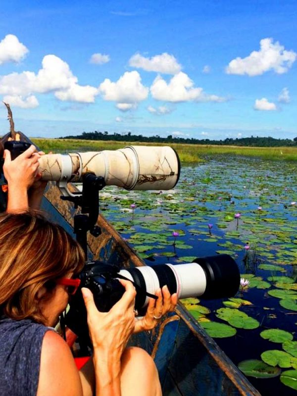 1-day-mabamba-birding-tour