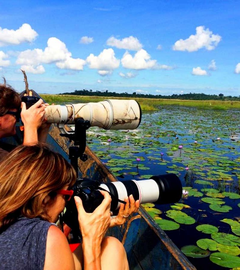 1-day-mabamba-birding-tour