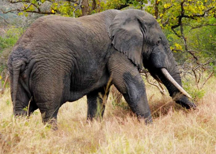 2-days-akagera-national-park-tour, Akagera National Park