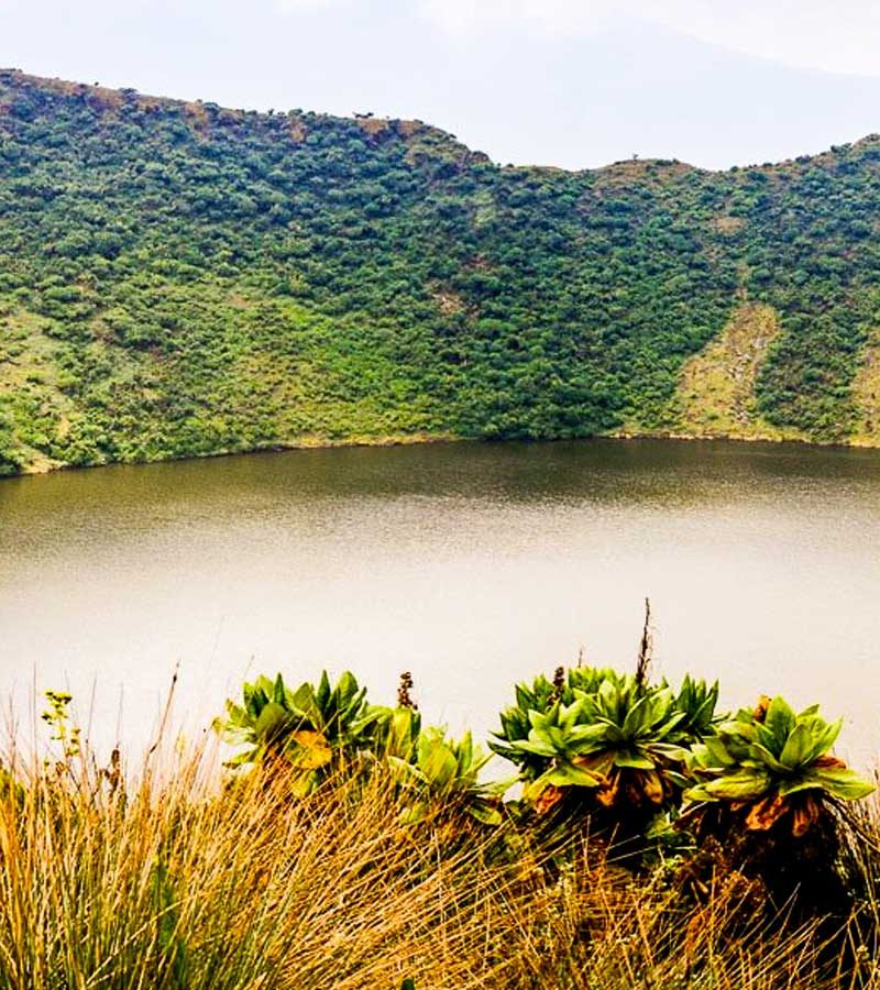 2-days-rwanda-gorilla-trek-mount-bisoke-hike