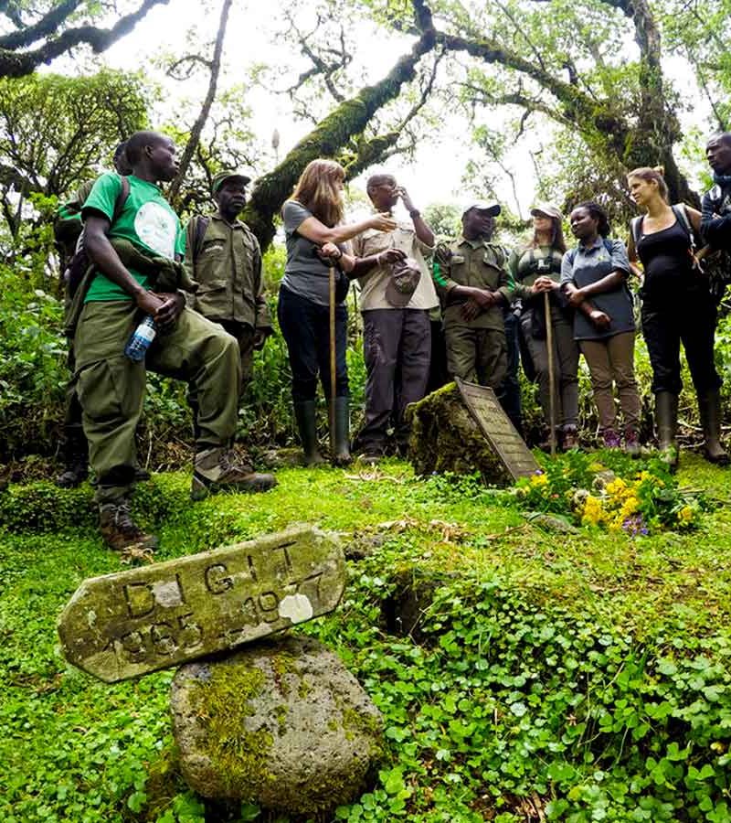 4-days-rwanda-gorilla-and-dian-fossey-hike-tour