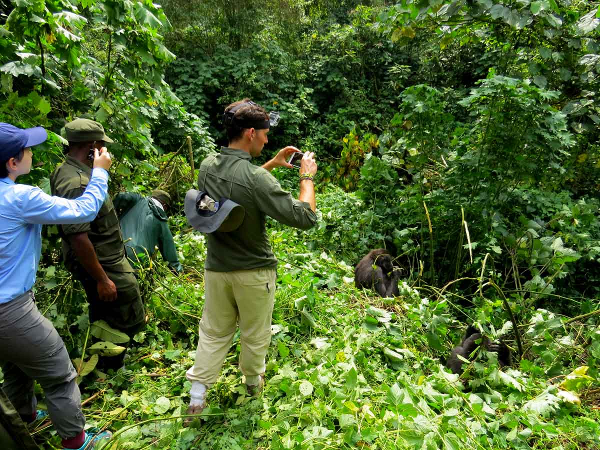 4-days-uganda-double-gorilla-trekking-tour