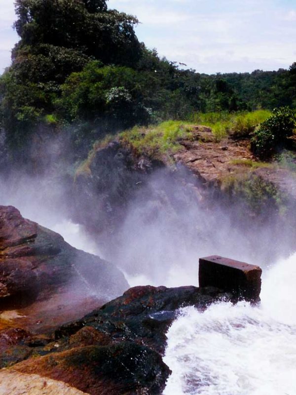5-days-murchison-falls-and-kibale-safari, Murchison Falls National Park
