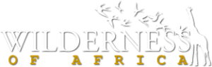 wilderness-of-africa-logo