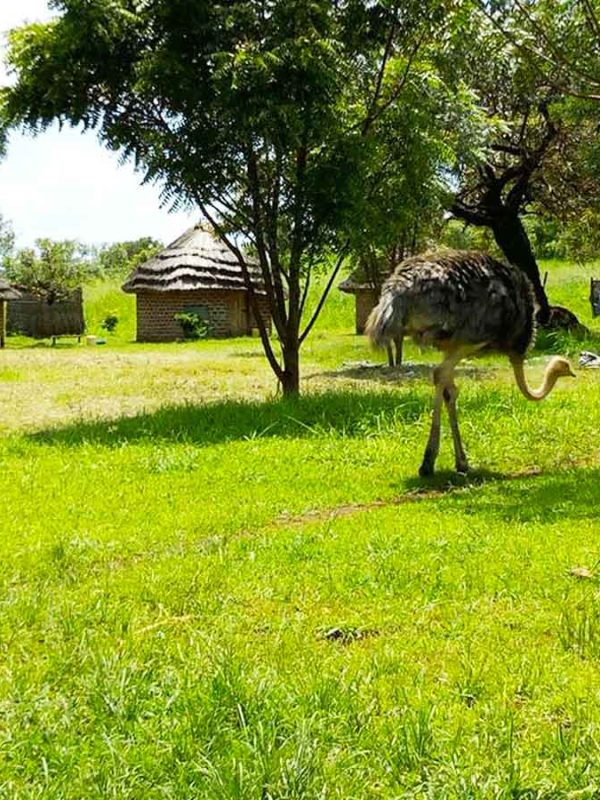 Pian Upe Wildlife Reserve