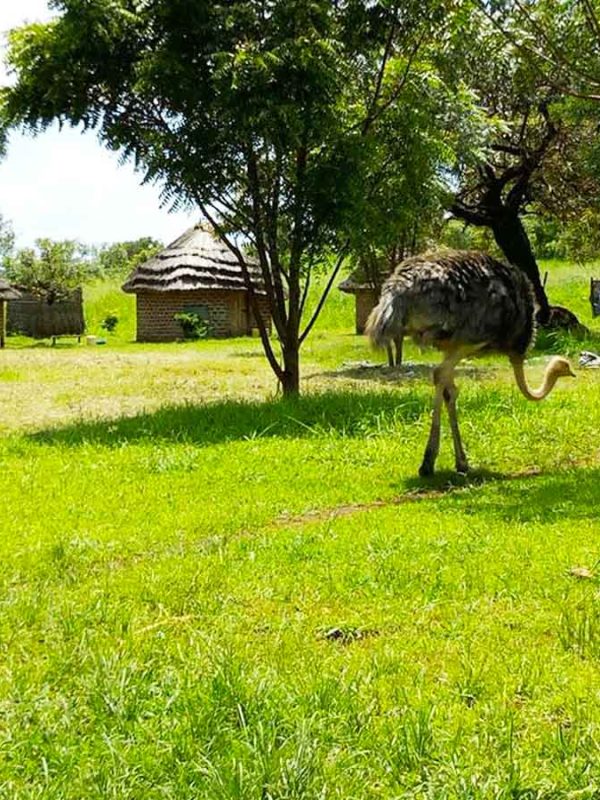 pian-upe-wildlife-reserve