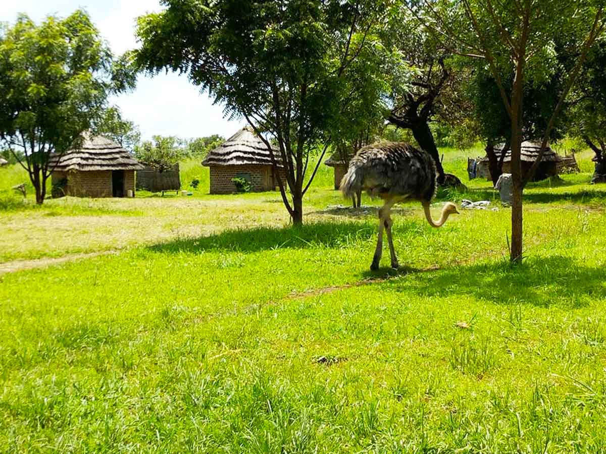Pian Upe Wildlife Reserve